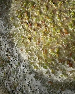 Fermentation process