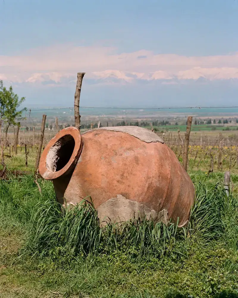 Qvevri winemaking tradition in Kakheti, Georgia