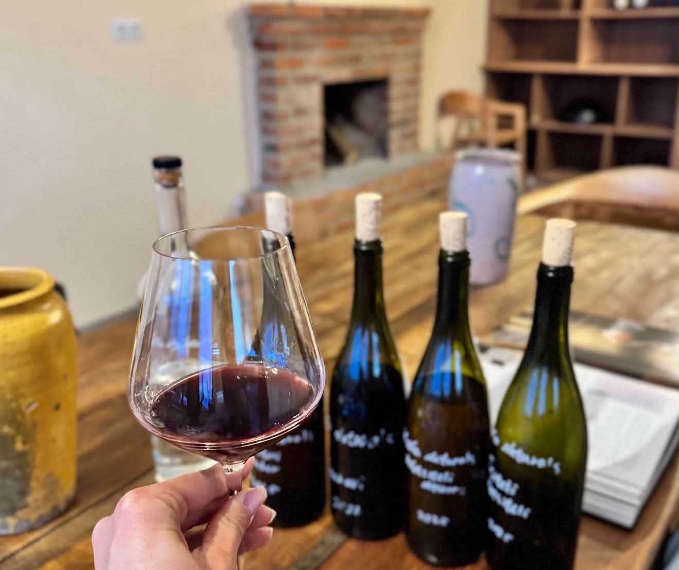 Wine tasting table at ROKA NATURALS in Sighnaghi